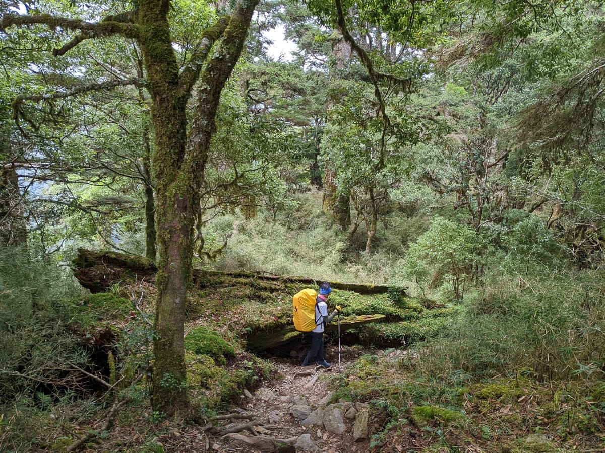 南湖大山難度行程記錄｜百岳帝王之山｜出發