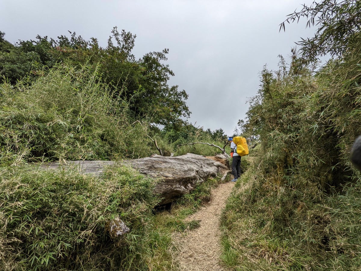 南湖大山難度行程記錄｜百岳帝王之山｜出發