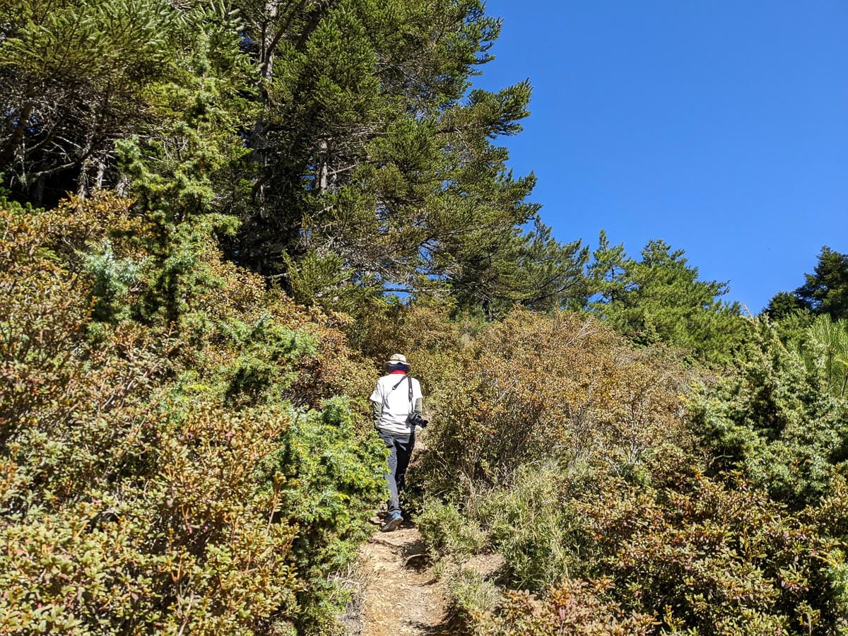 南湖大山難度行程記錄｜圈谷前的眼淚｜碎石坡