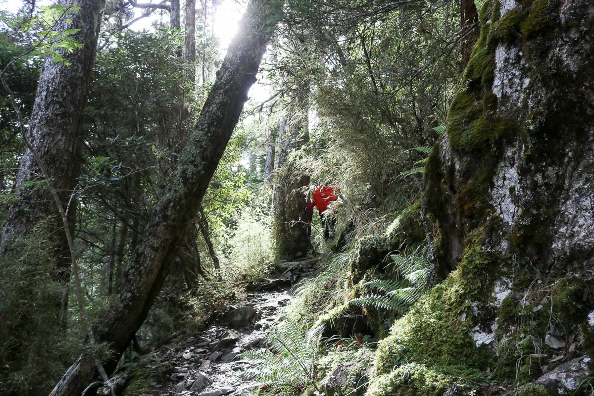 郊山中級山百岳高山背包裝備檢查表 老蝦行前通知公版