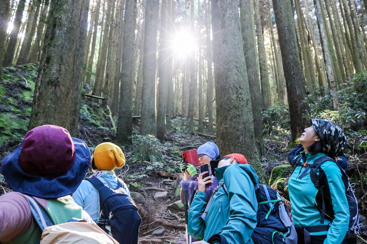 郊山中級山百岳高山背包裝備檢查表 老蝦行前通知公版