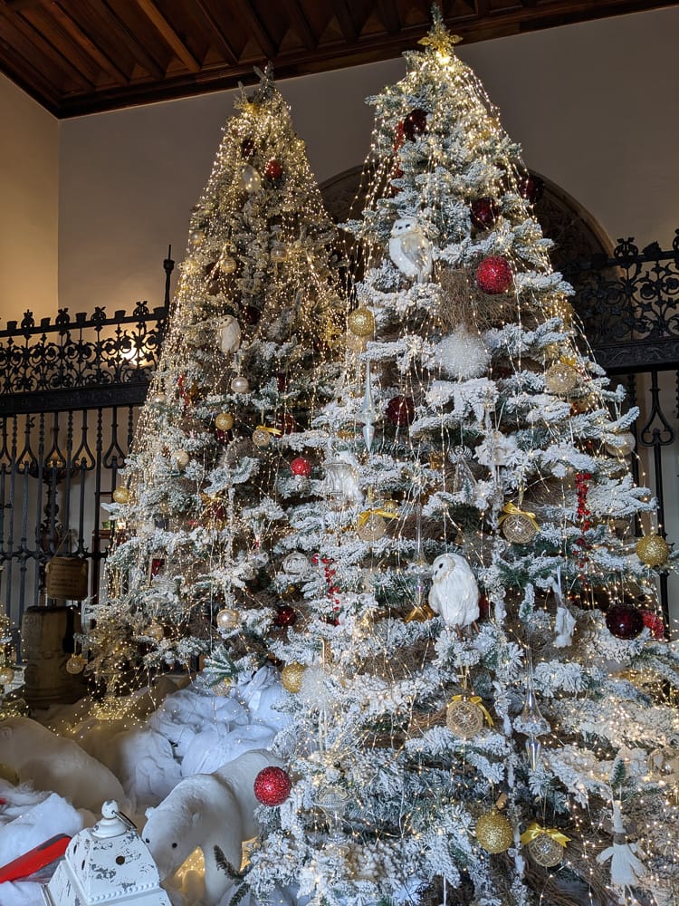 西班牙國營旅館加利西亞Santiago天主教雙王酒店