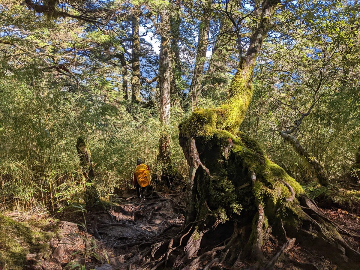 奇萊主北｜回家前最煎熬非破碎地形拉繩攀岩