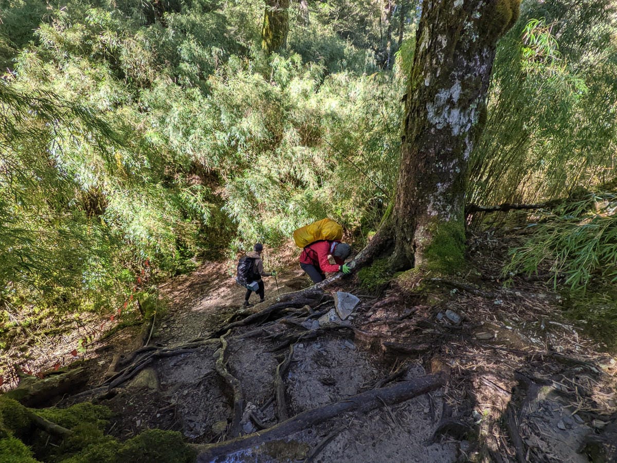 奇萊主北｜回家前最煎熬非破碎地形拉繩攀岩