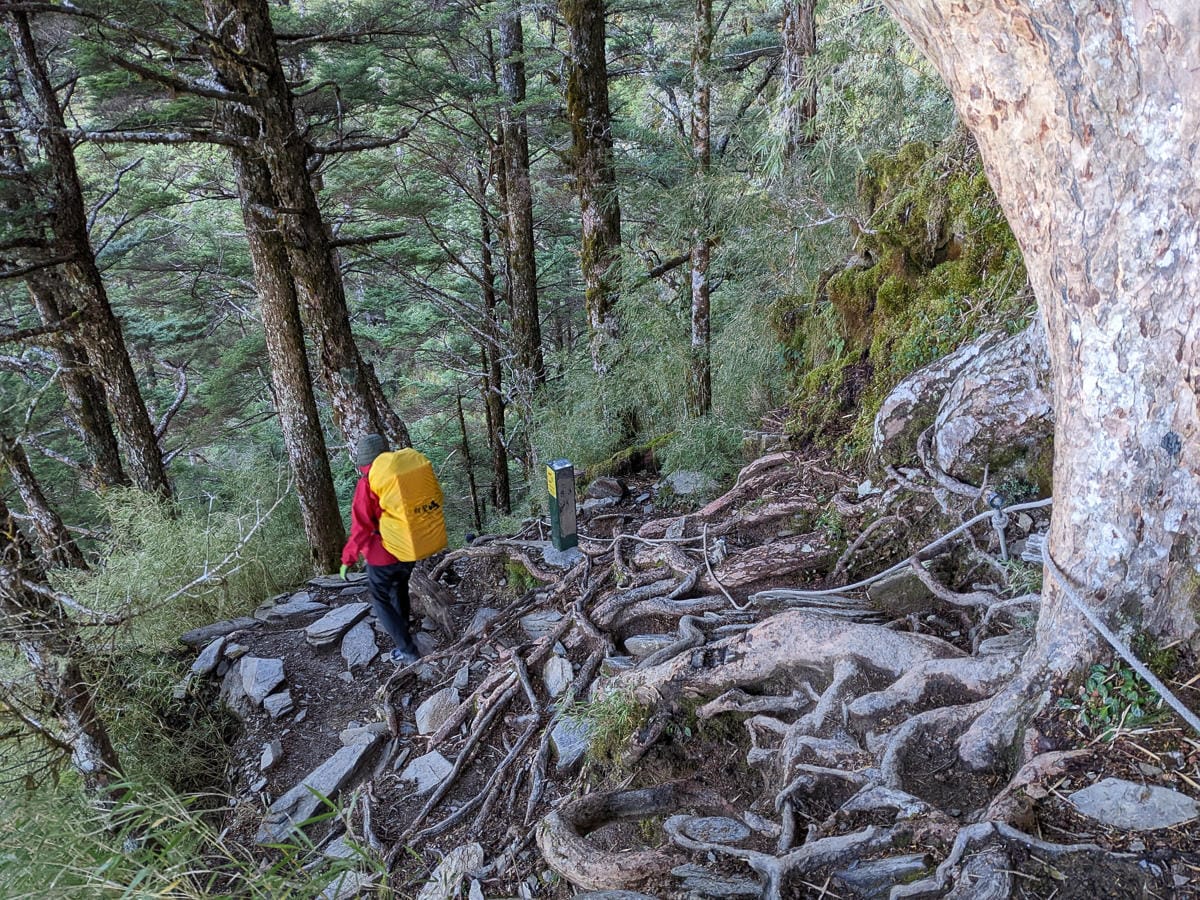 奇萊主北｜回家前最煎熬非破碎地形拉繩攀岩