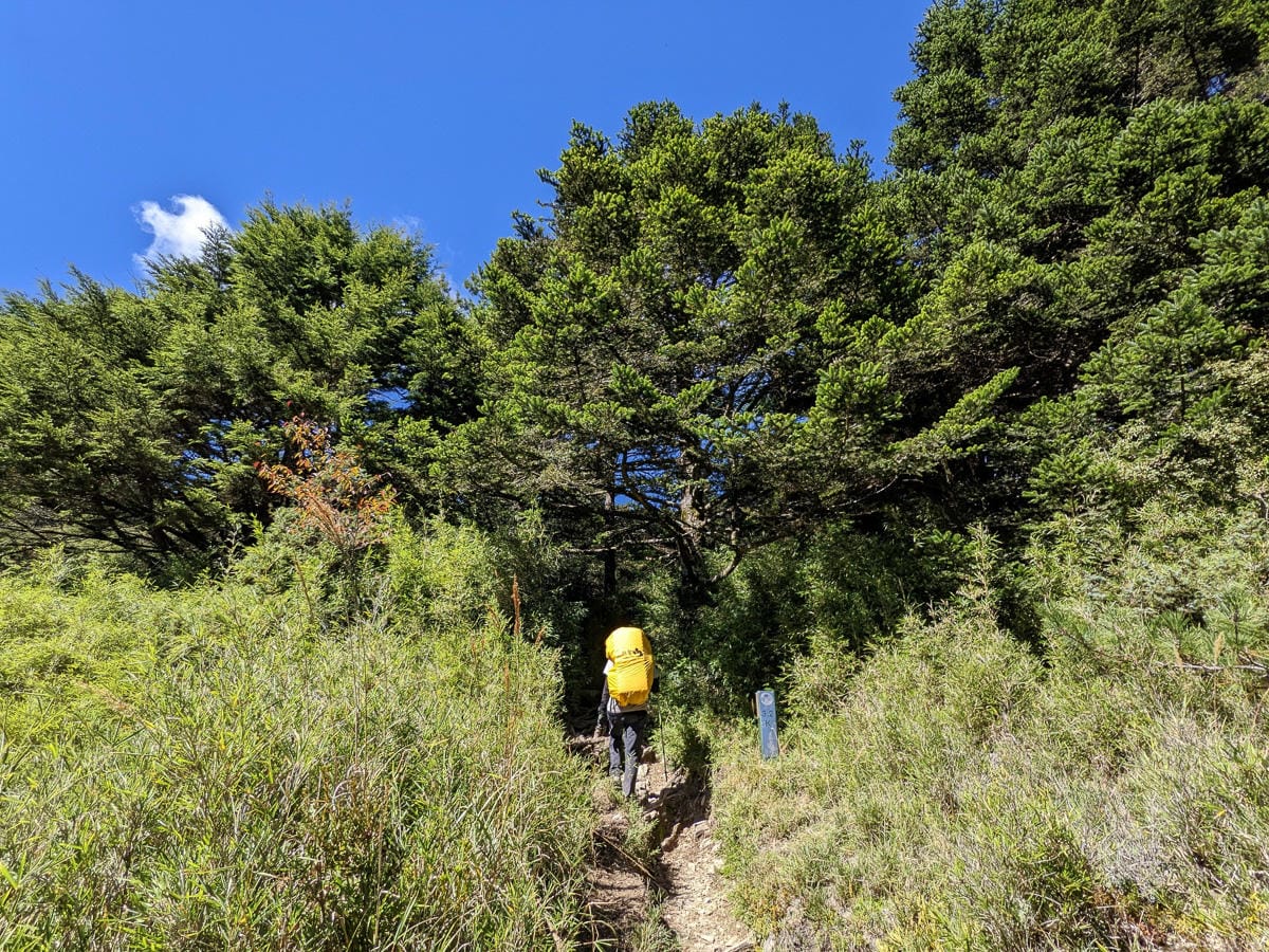 奇萊主北｜回家前最煎熬非破碎地形拉繩攀岩