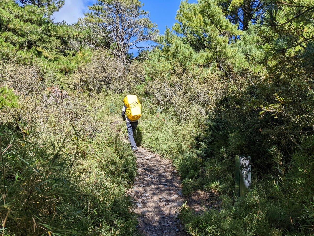 奇萊主北｜回家前最煎熬非破碎地形拉繩攀岩