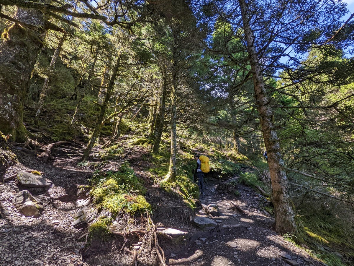 奇萊主北｜回家前最煎熬非破碎地形拉繩攀岩