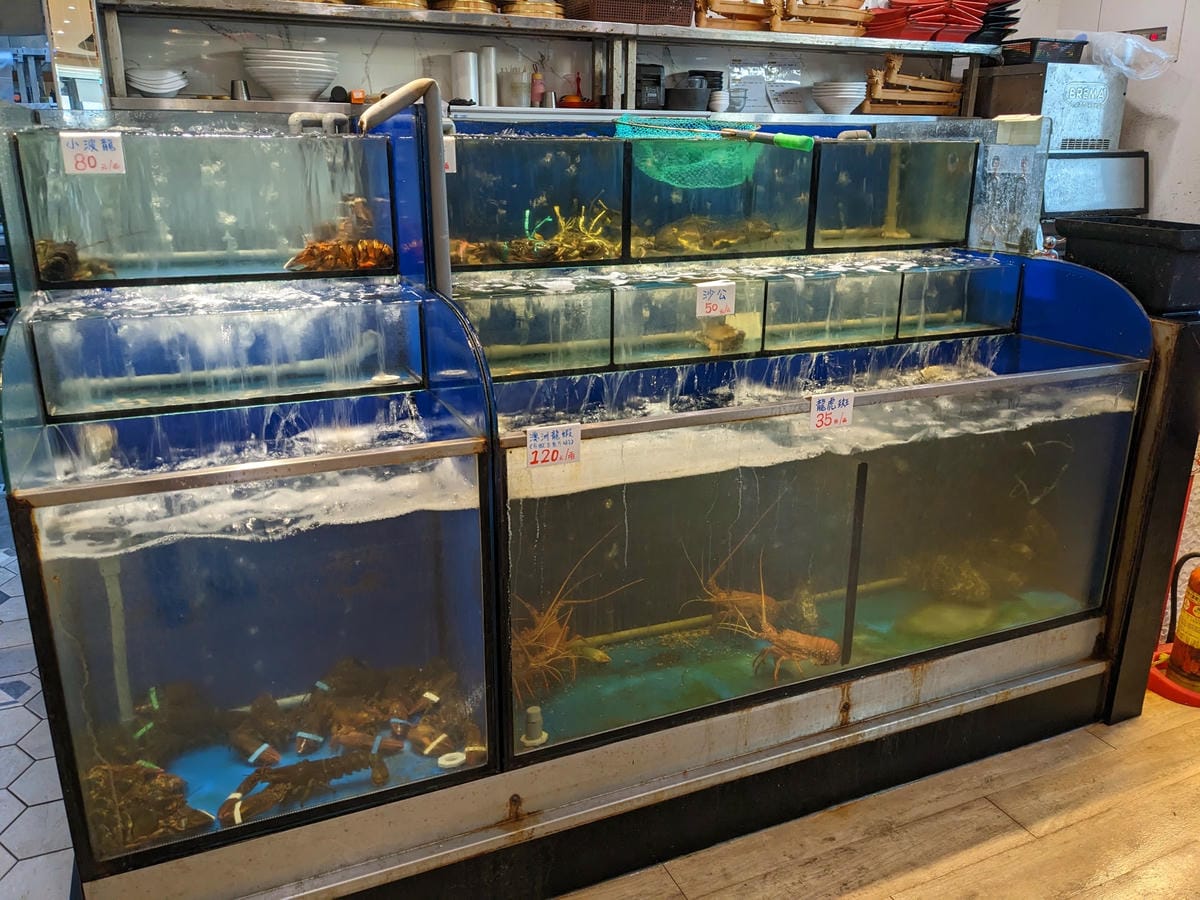 富美海鮮火鍋宜蘭店｜飲料冰淇淋蔬菜吧港點吃到飽