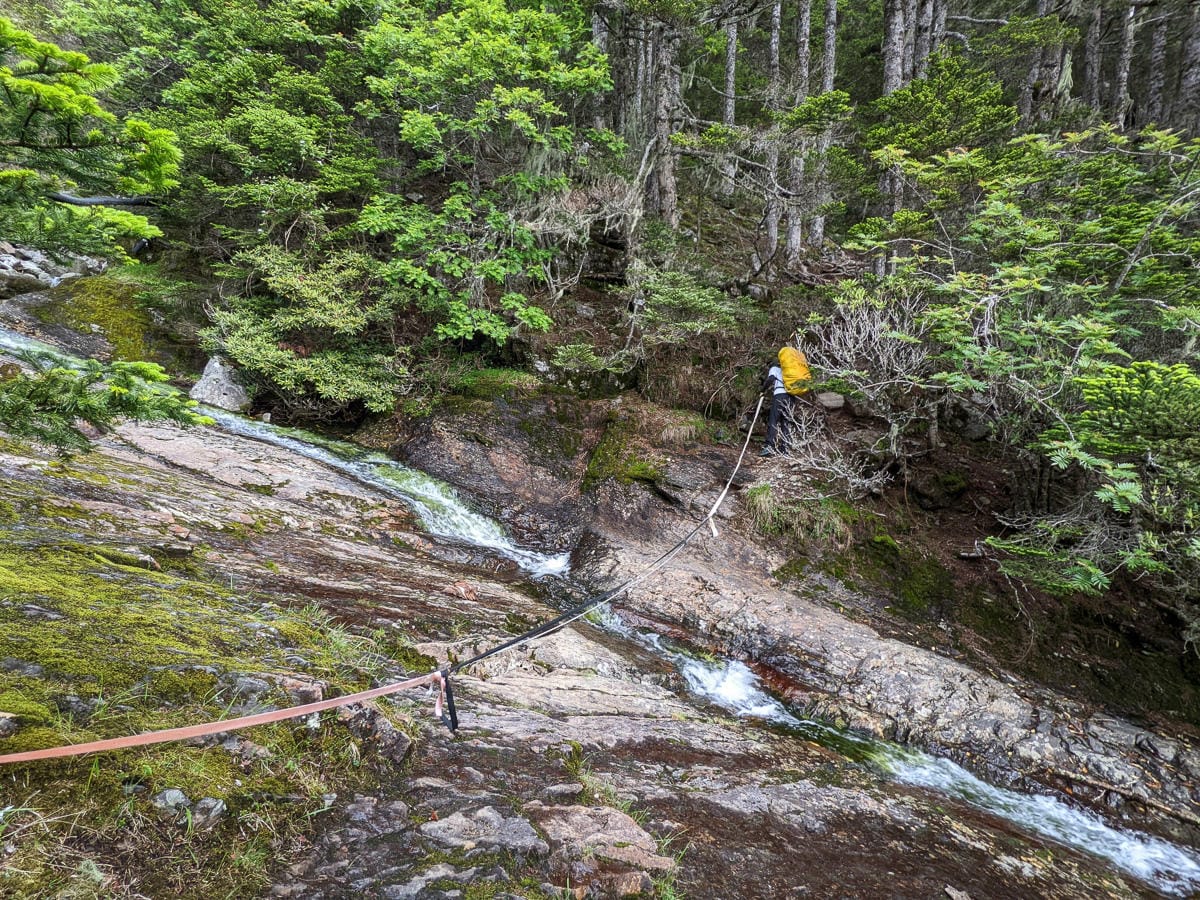 百岳難度高聖稜線雪山北峰｜玉山圓柏的千百年