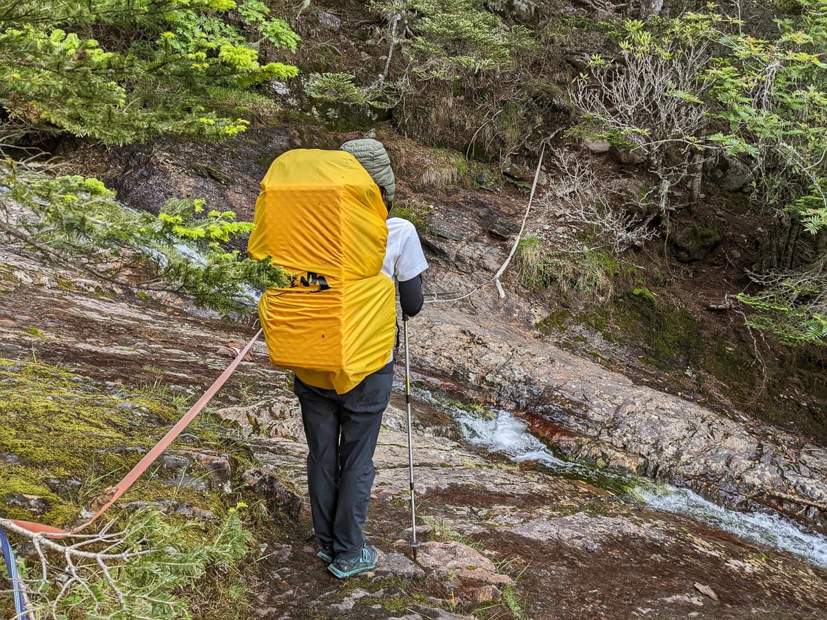 百岳難度高聖稜線雪山北峰｜玉山圓柏的千百年