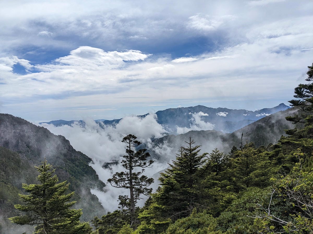 百岳難度高聖稜線雪山北峰｜玉山圓柏的千百年