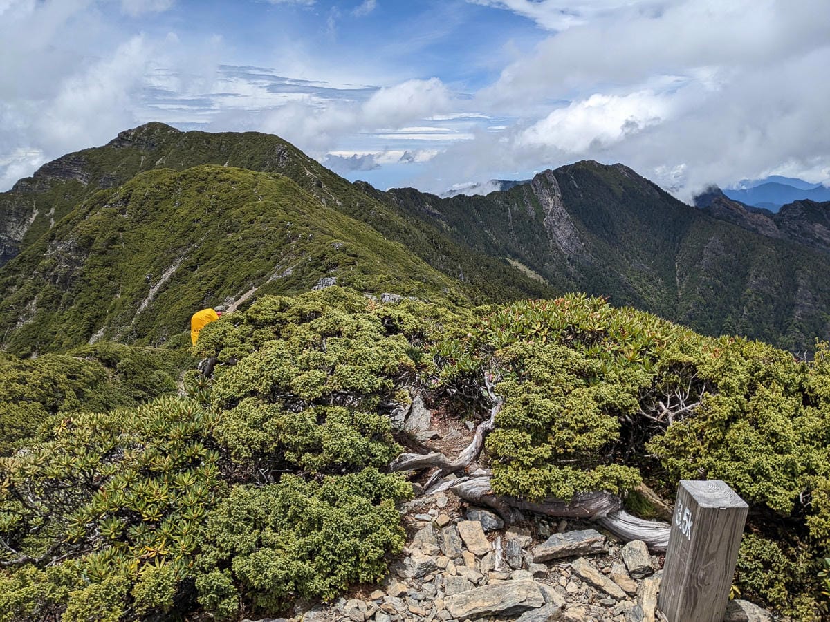 百岳難度高聖稜線雪山北峰｜玉山圓柏的千百年
