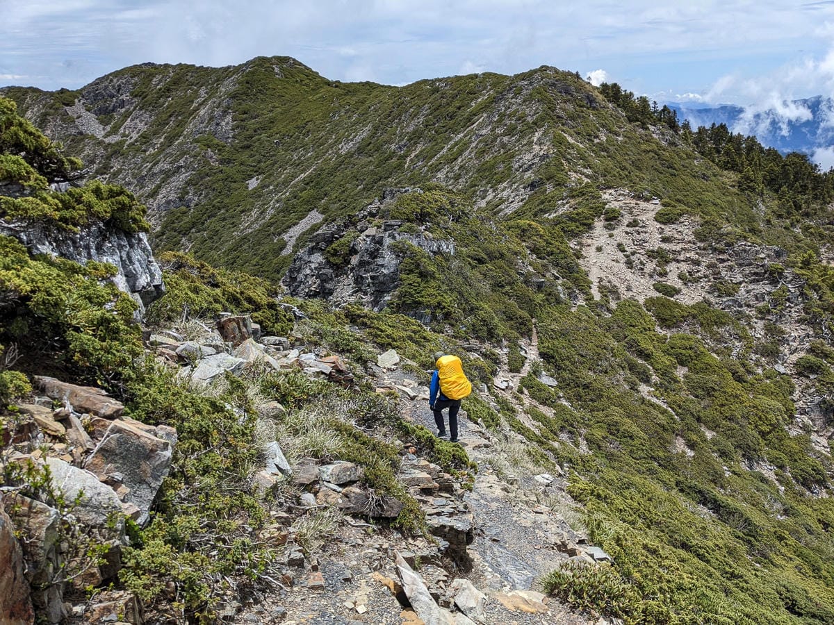百岳難度高聖稜線雪山北峰｜玉山圓柏的千百年