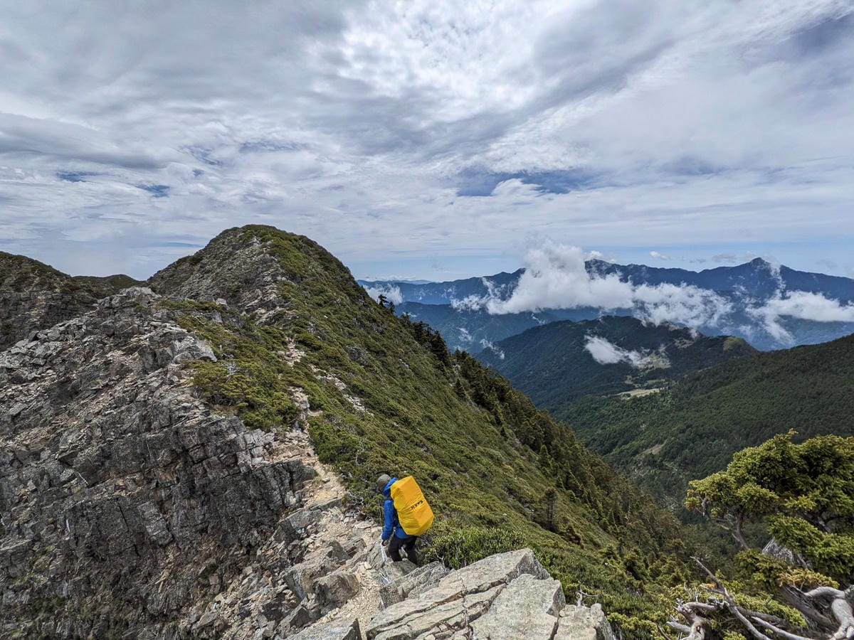 百岳難度高聖稜線雪山北峰｜玉山圓柏的千百年