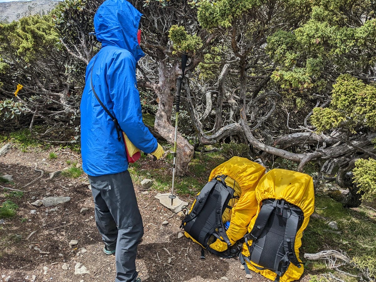 百岳難度高聖稜線雪山北峰｜玉山圓柏的千百年