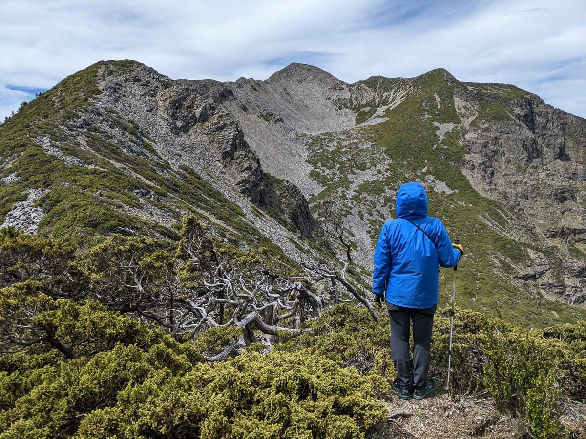 百岳難度高聖稜線雪山北峰｜玉山圓柏的千百年