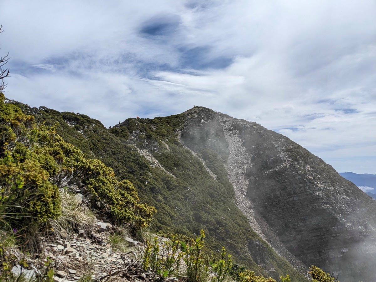 百岳難度高聖稜線雪山北峰｜玉山圓柏的千百年