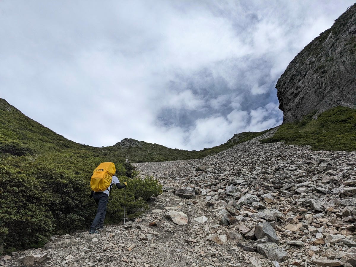 百岳難度高聖稜線雪山北峰｜玉山圓柏的千百年