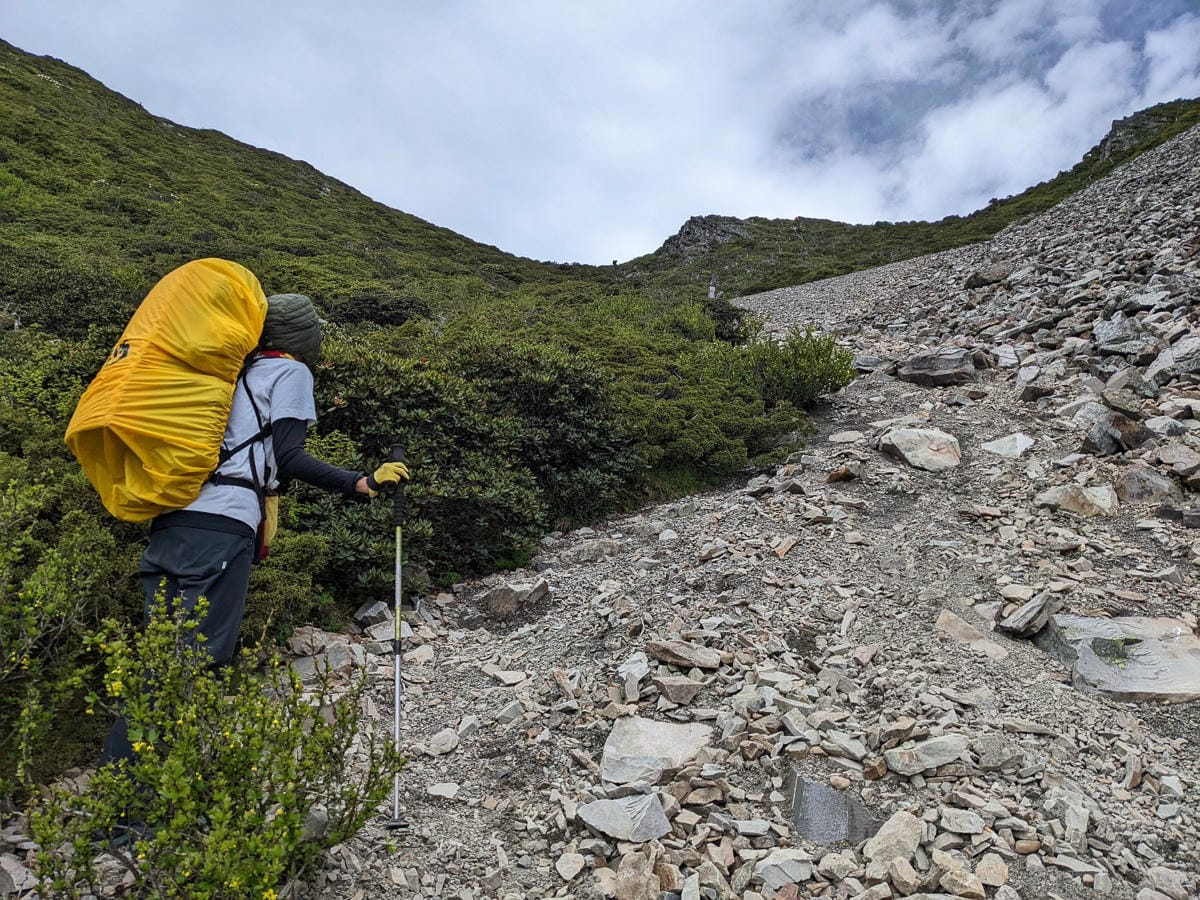 百岳難度高聖稜線雪山北峰｜玉山圓柏的千百年