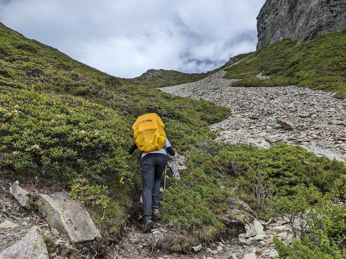 百岳難度高聖稜線雪山北峰｜玉山圓柏的千百年