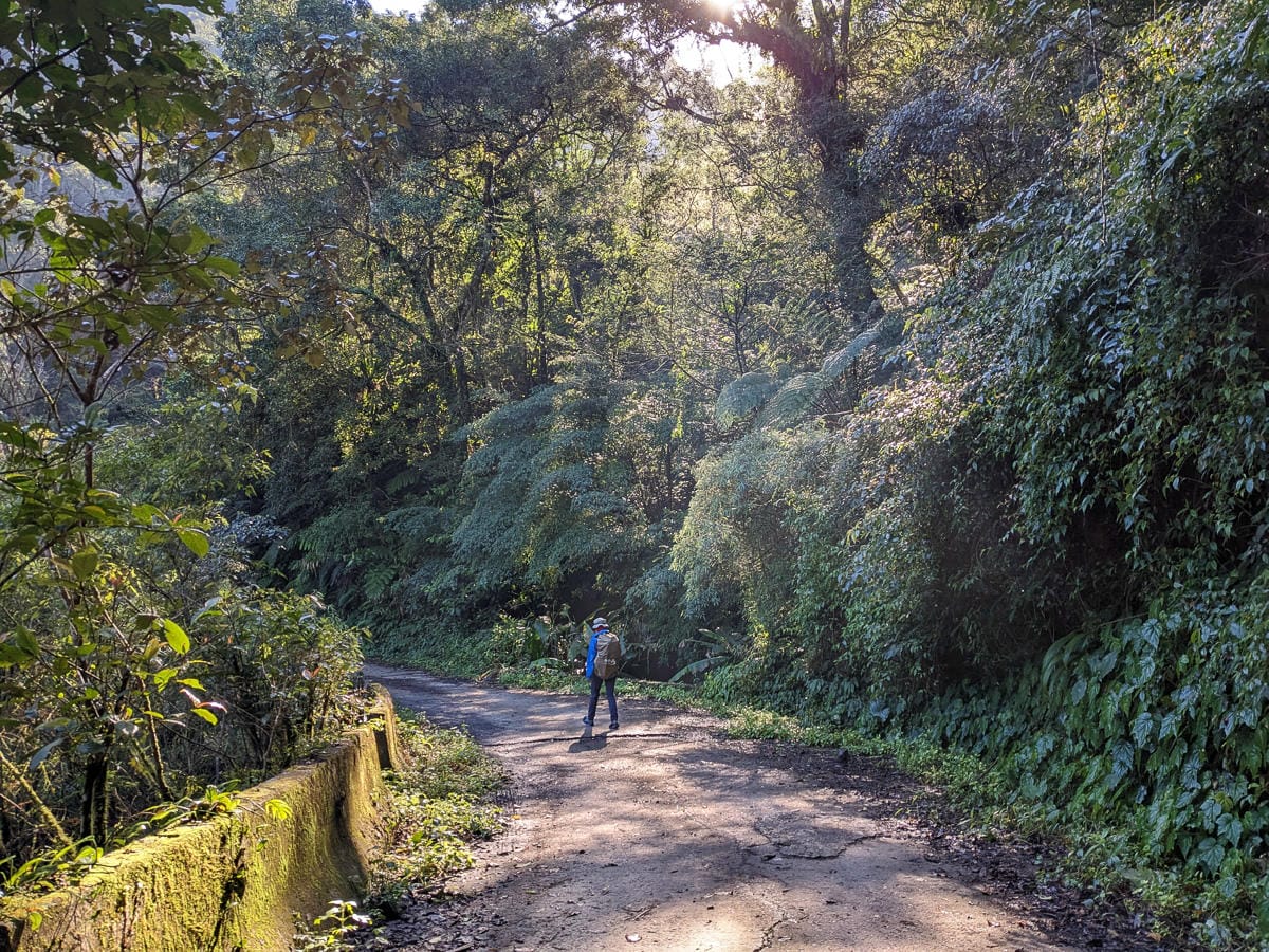 桶後越嶺道全段桶后林道 – 烏來到礁溪