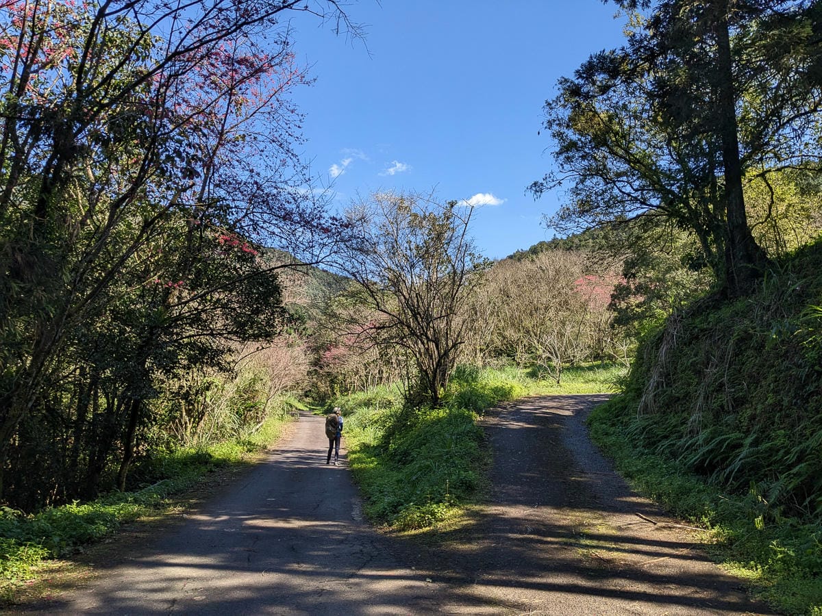 桶後越嶺道全段桶后林道 – 烏來到礁溪