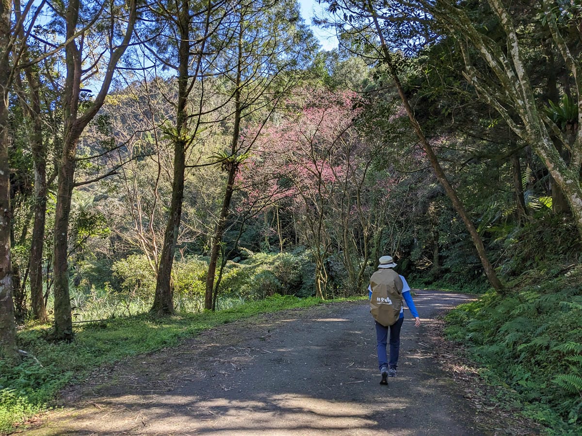 桶後越嶺道全段桶后林道 – 烏來到礁溪