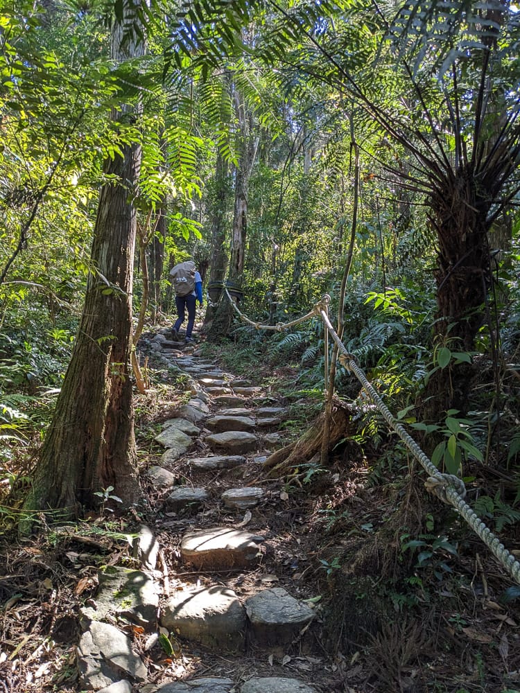 桶後越嶺道全段桶后林道 – 烏來到礁溪
