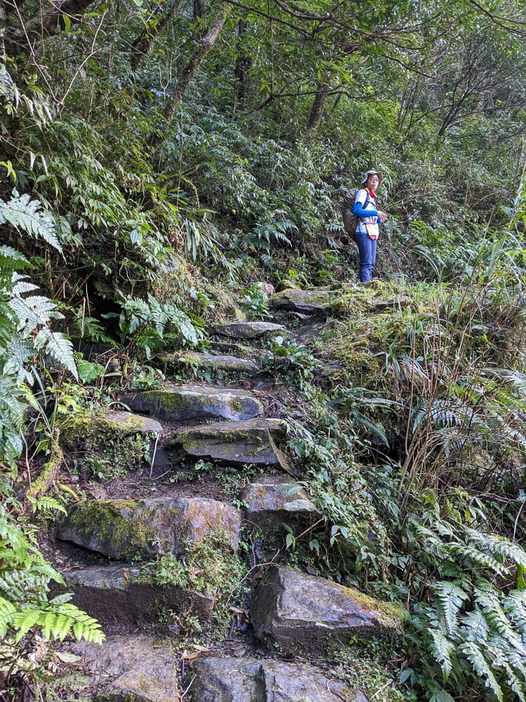 桶後越嶺道全段桶后林道 – 烏來到礁溪