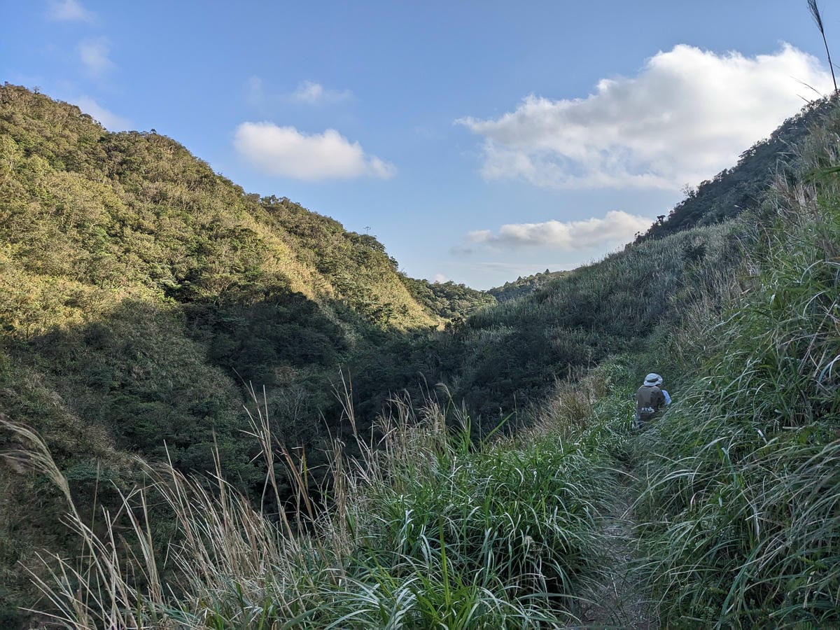 桶後越嶺道全段桶后林道 – 烏來到礁溪