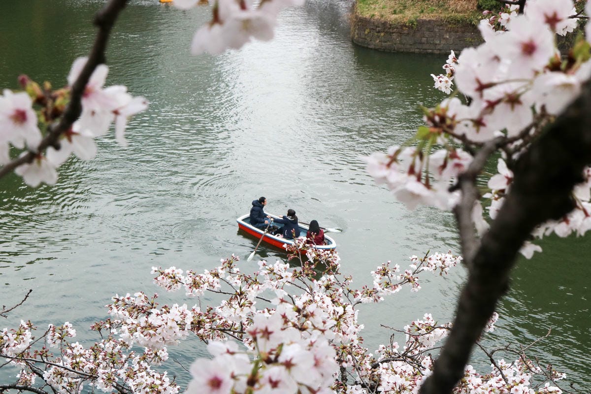 日本網卡吃到飽飛速移動帶著走