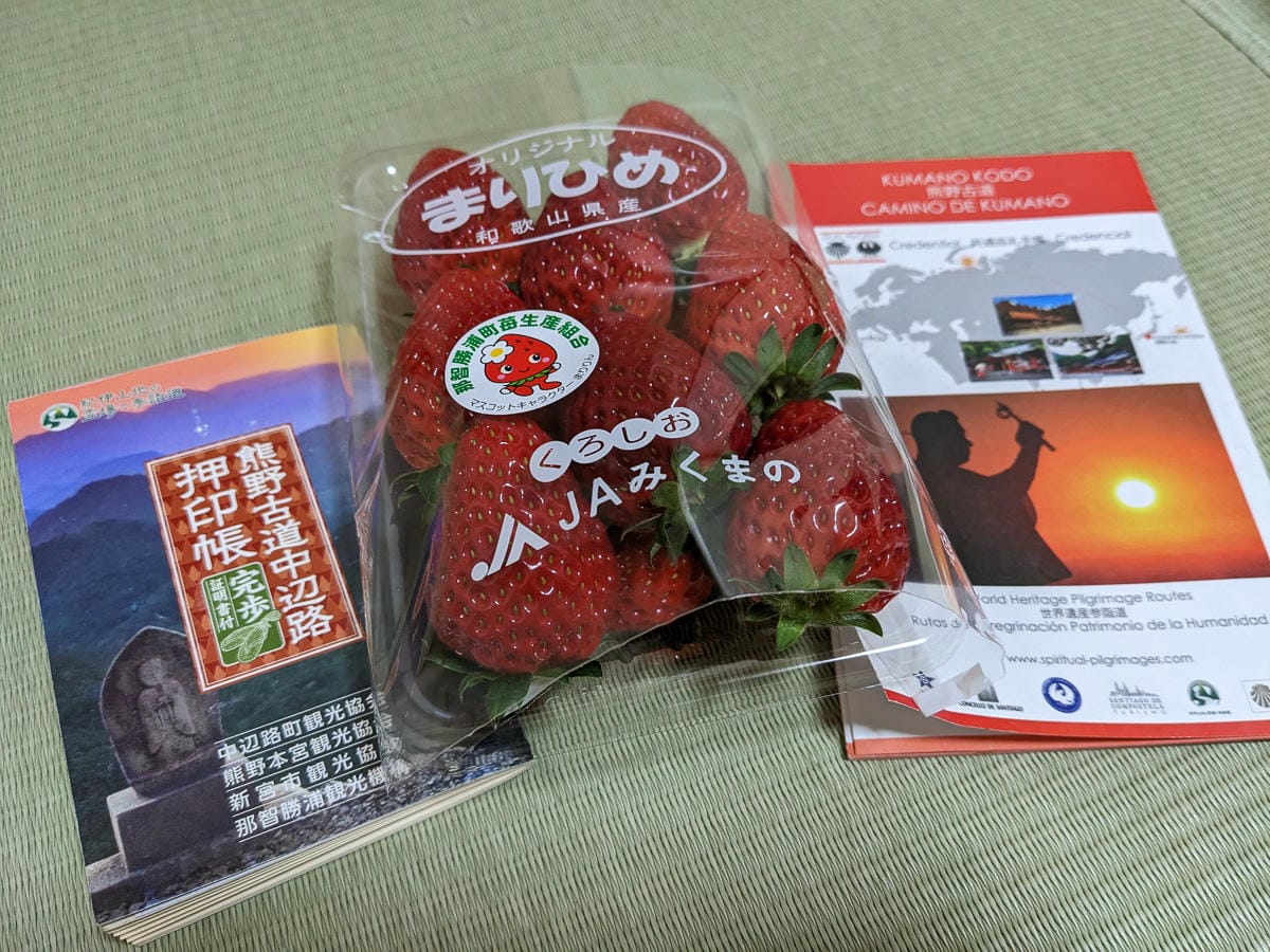 熊野古道紀伊勝浦車站住宿溫泉Oyado Hana&竹原鮪魚