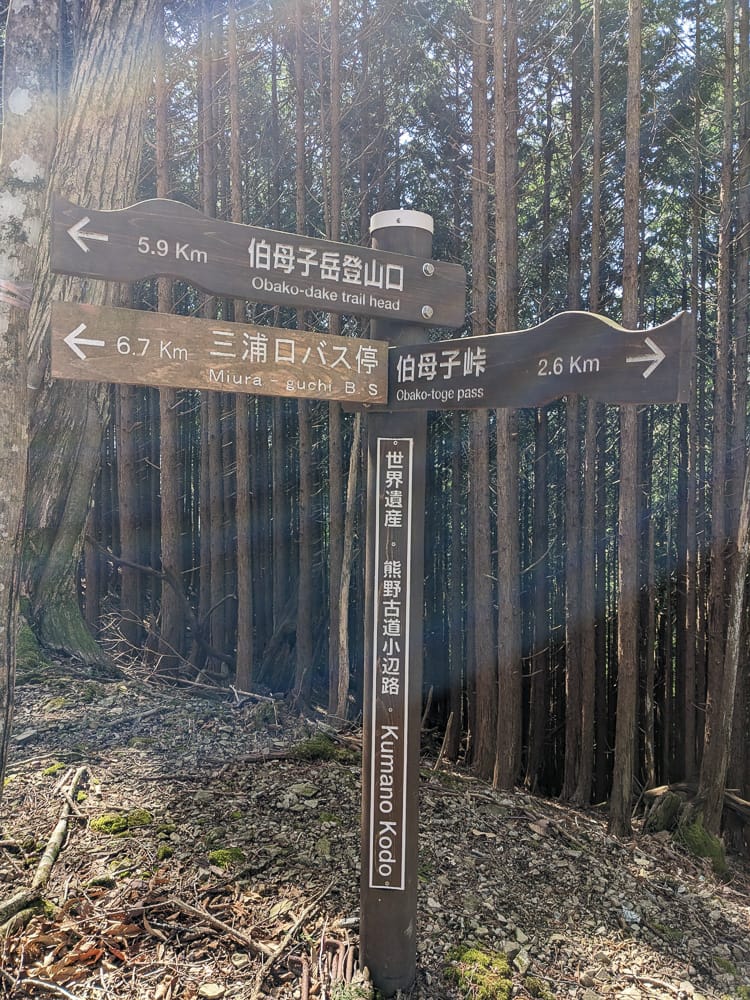 熊野古道小邊路鄉下住一晚｜農家民宿山本