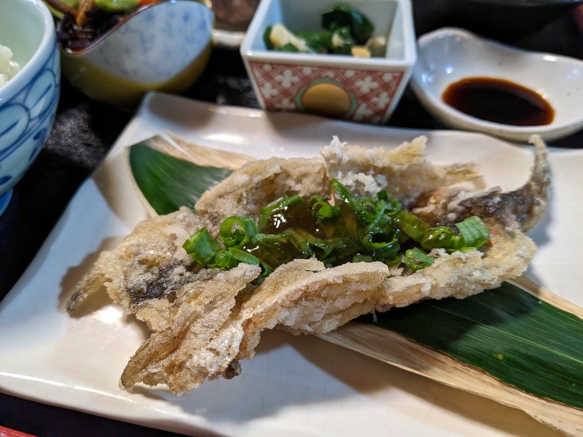 熊野古道小邊路鄉下住一晚｜農家民宿山本