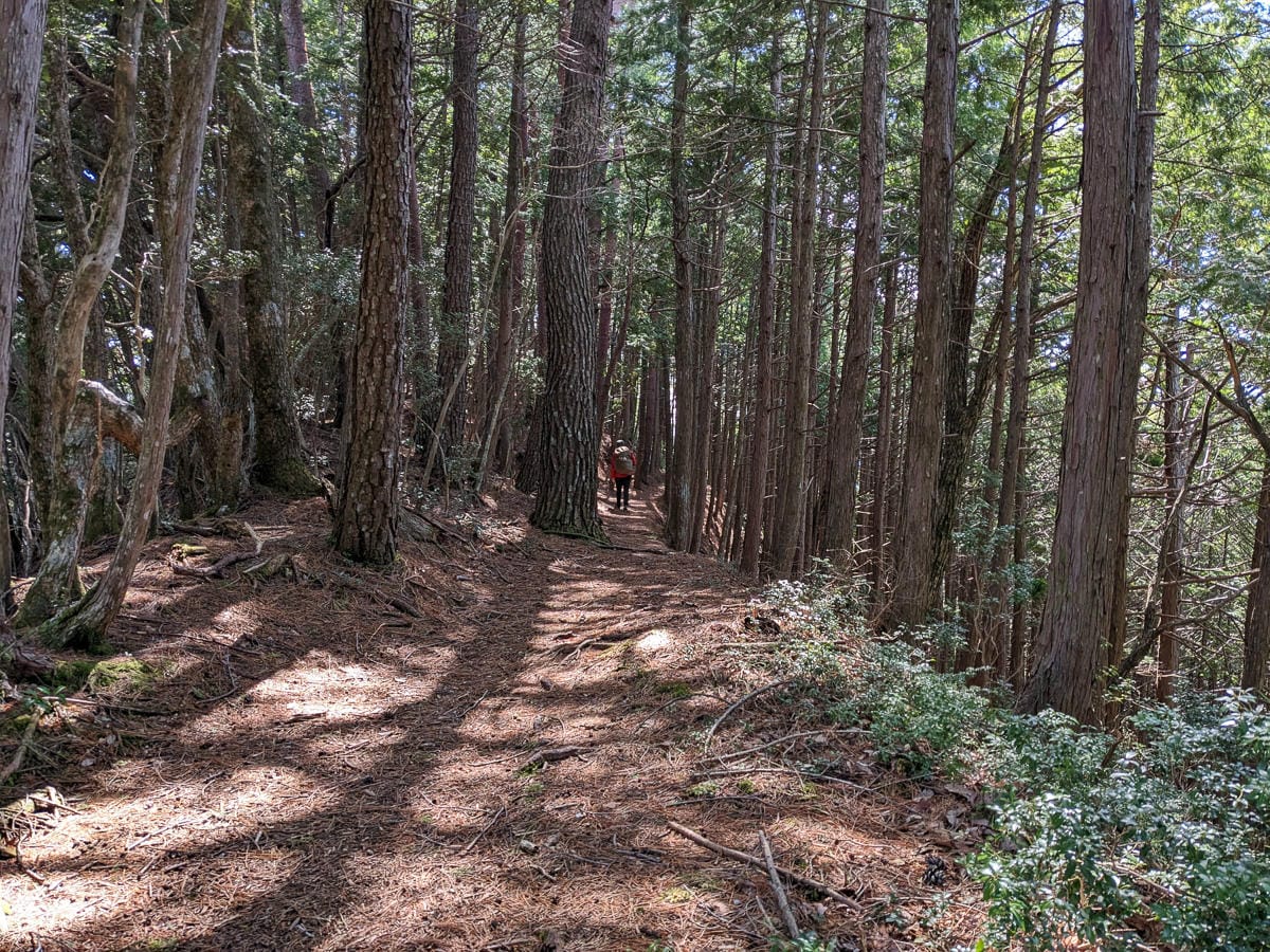 熊野古道小邊路十津川溫泉行者民宿太陽湯