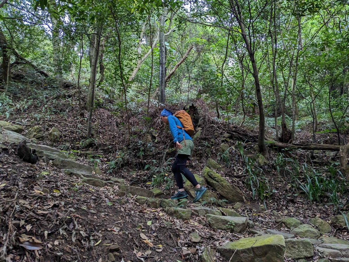 sNug全壓式強肌力運動壓縮褲｜爬山心得感想
