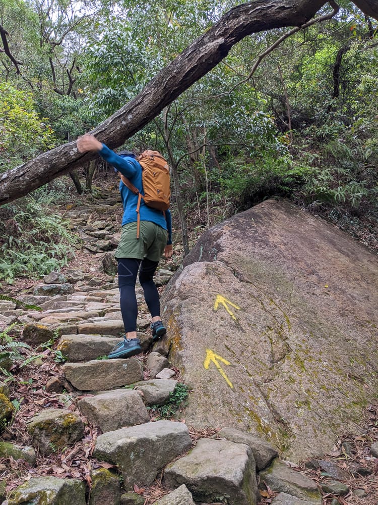 sNug全壓式強肌力運動壓縮褲｜爬山心得感想