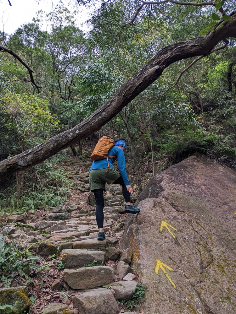 sNug全壓式強肌力運動壓縮褲｜爬山心得感想