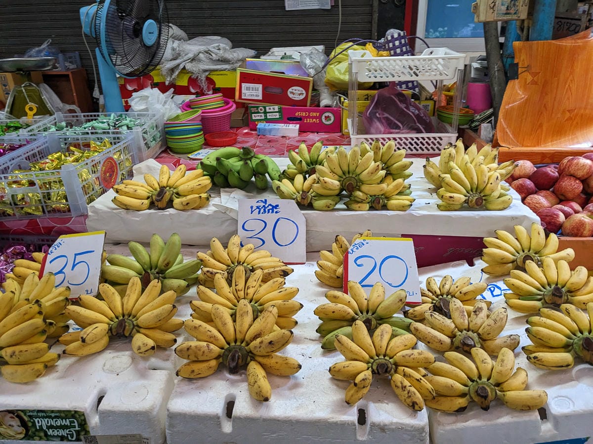 曼谷近郊一日遊推薦水上市場&遊船 - 第15張圖 曼谷近郊一日遊推薦水上市場&遊船