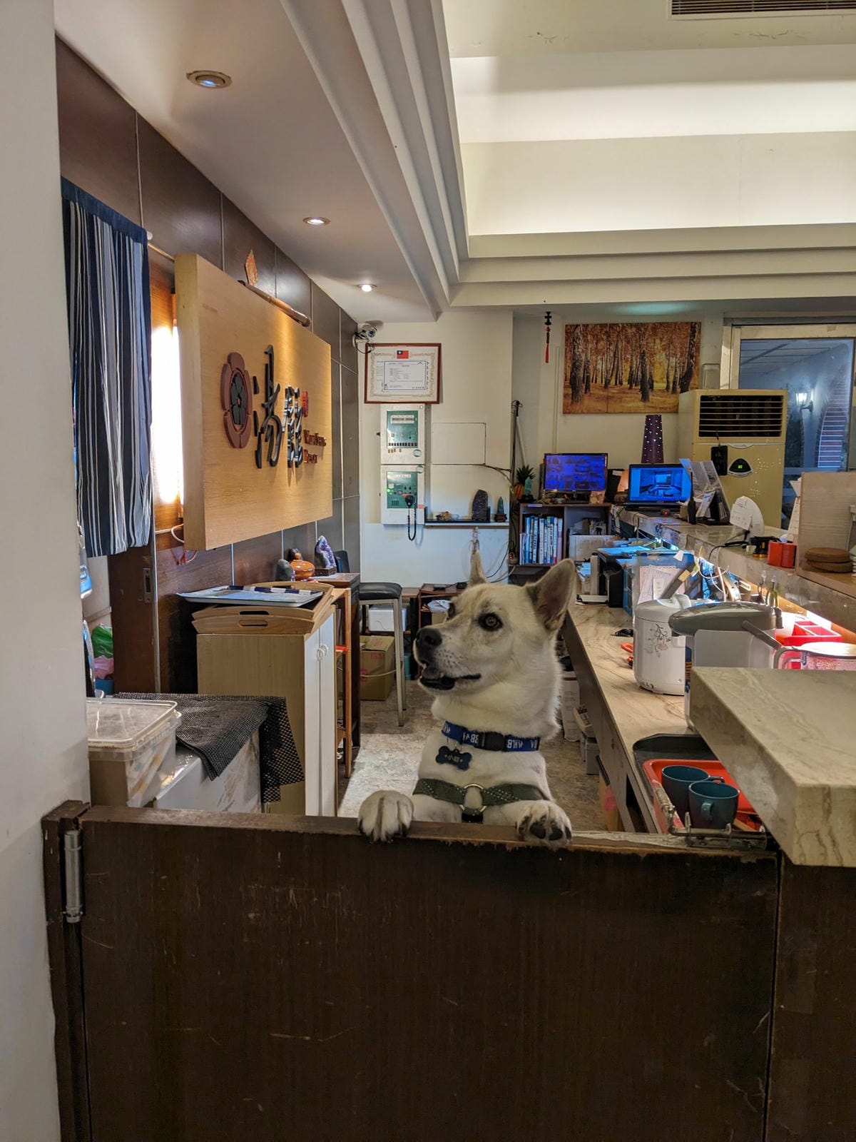 烏來湯館溫泉兩天一夜瀑布溫泉美食