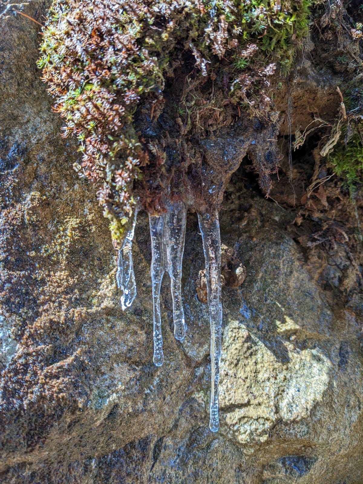 熊野古道小邊路大股-三浦口