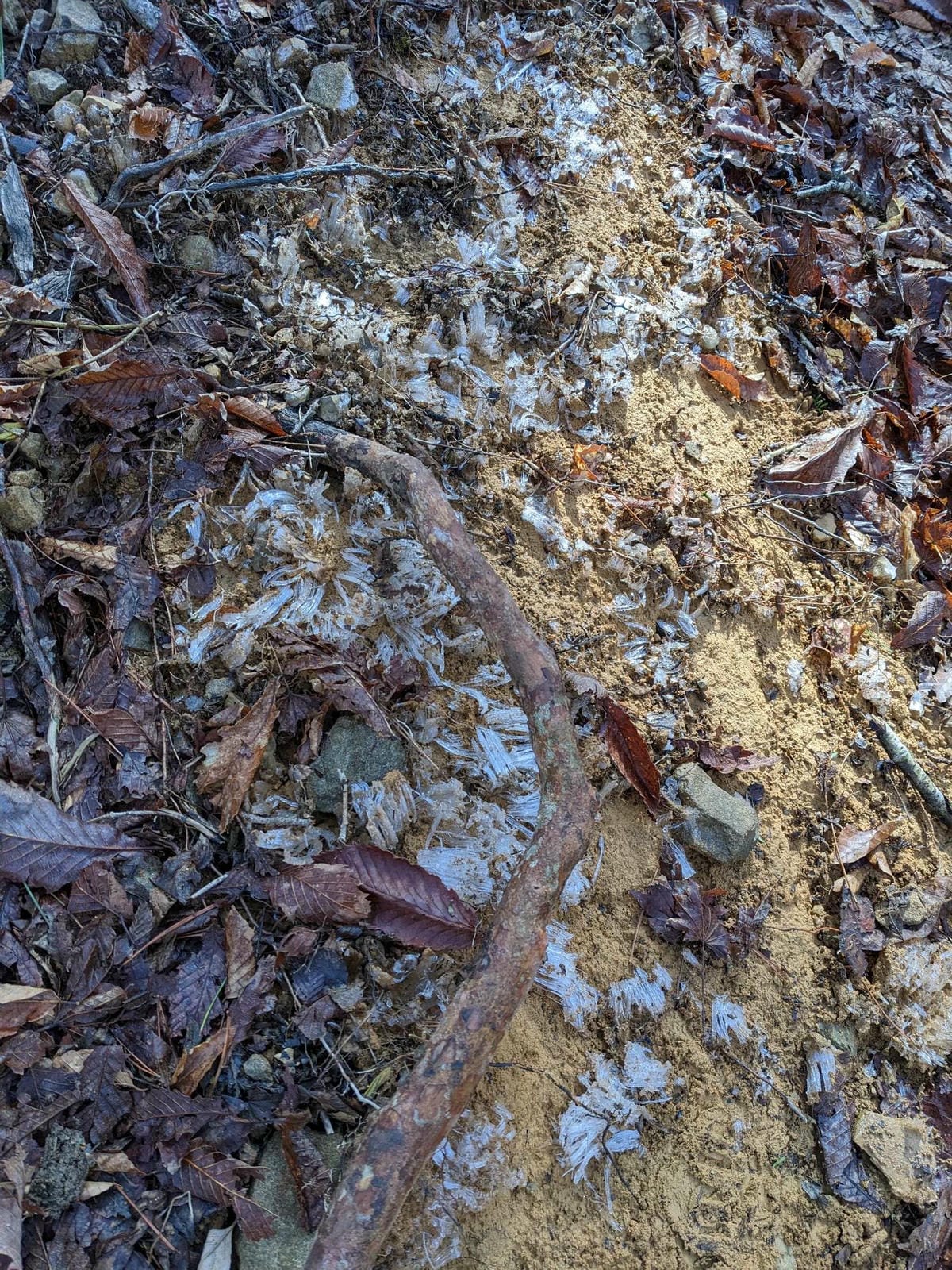 熊野古道小邊路大股-三浦口