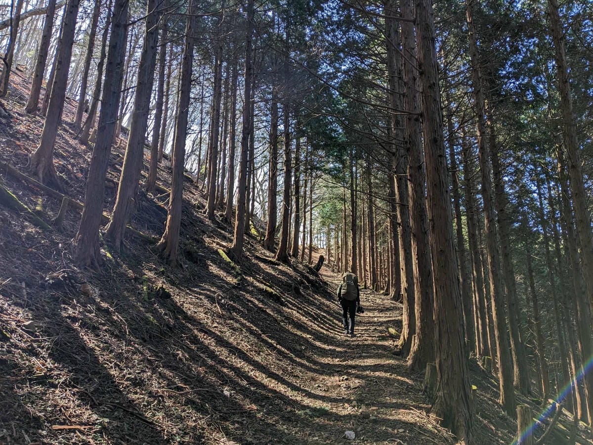 熊野古道小邊路大股-三浦口