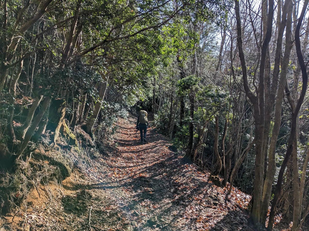 熊野古道小邊路大股-三浦口