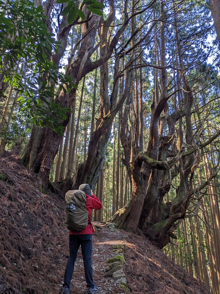 熊野古道小邊路三浦-D3 有目標就有力氣