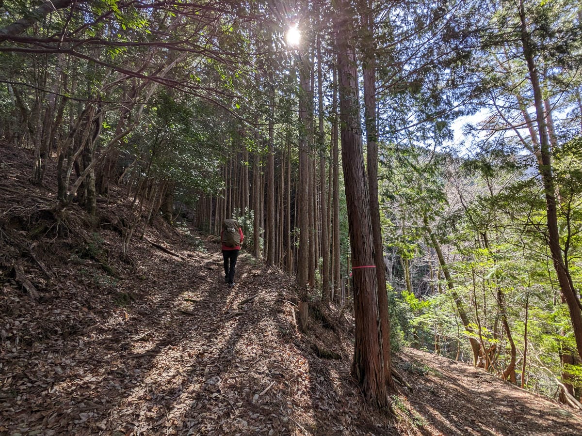 熊野古道小邊路三浦-D3 有目標就有力氣