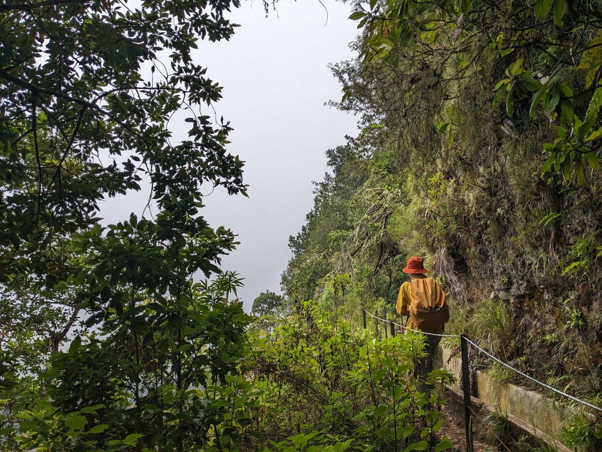 馬德拉島夏天路線 PR 10 - Levada do Furado葡萄牙