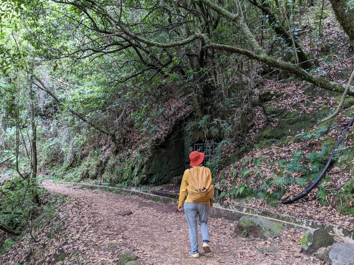 葡萄牙馬德拉島夏天推薦健行路線