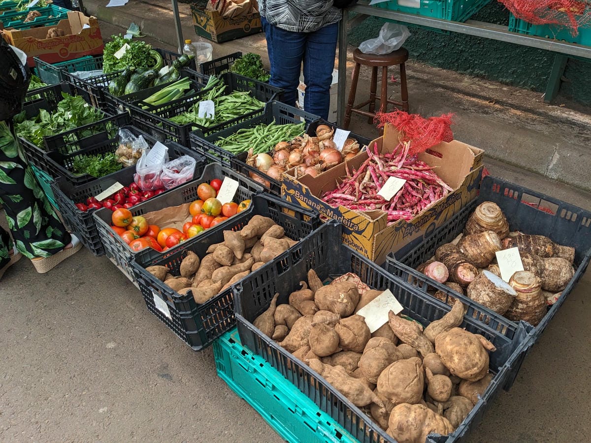 葡萄牙馬德拉週日市集與海邊健行PR8